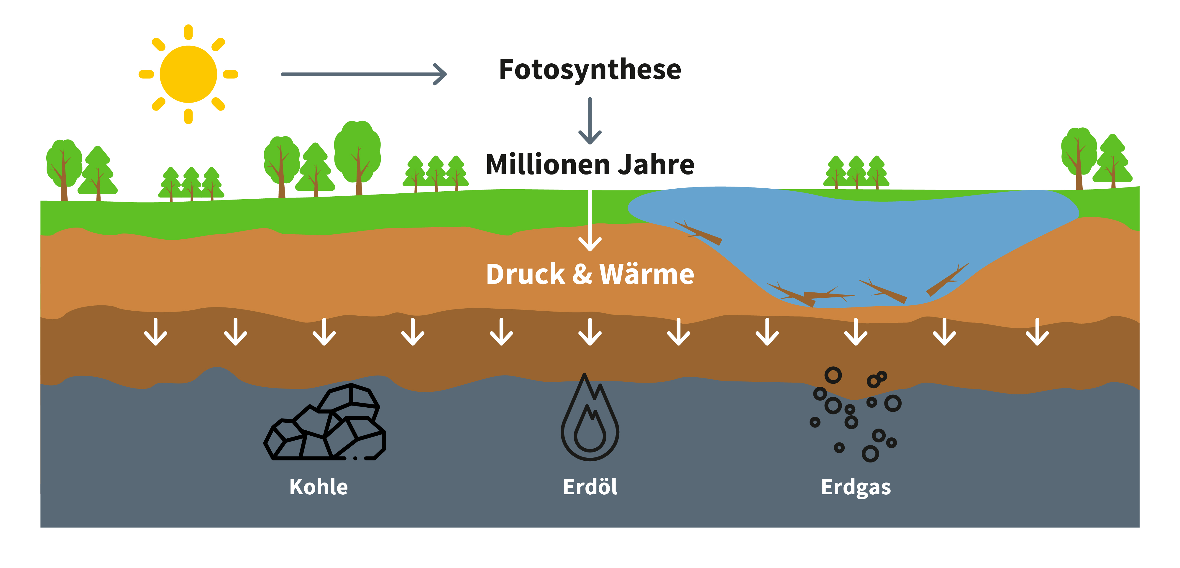 Schema: Entstehung von Erdöl, Erdgas und Kohle