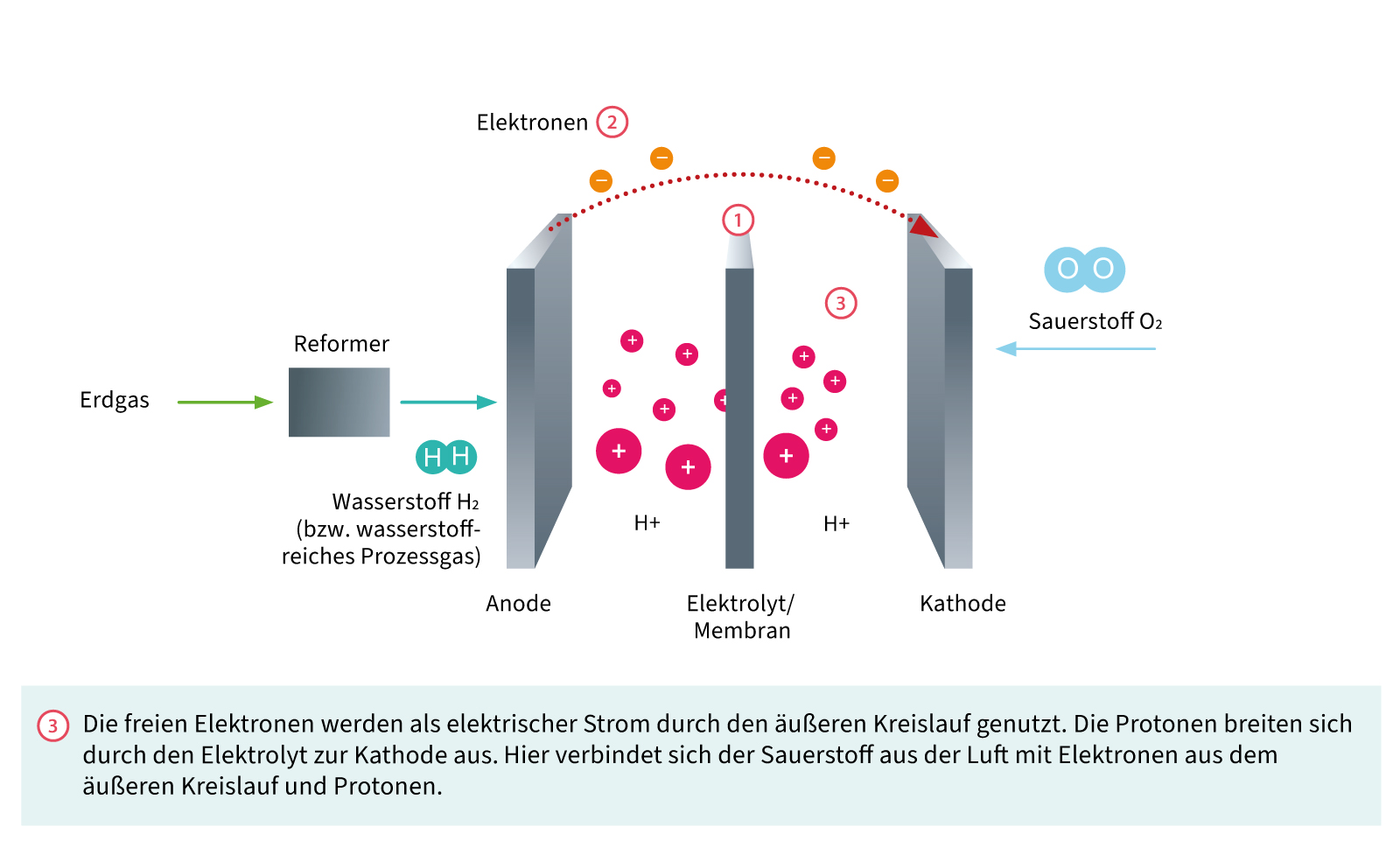 Aufbau einer Brennstoffzelle: Sauerstoff verbindet sich mit den Elektronen