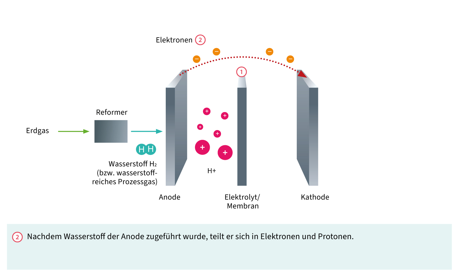 Aufbau einer Brennstoffzelle: Elektronen