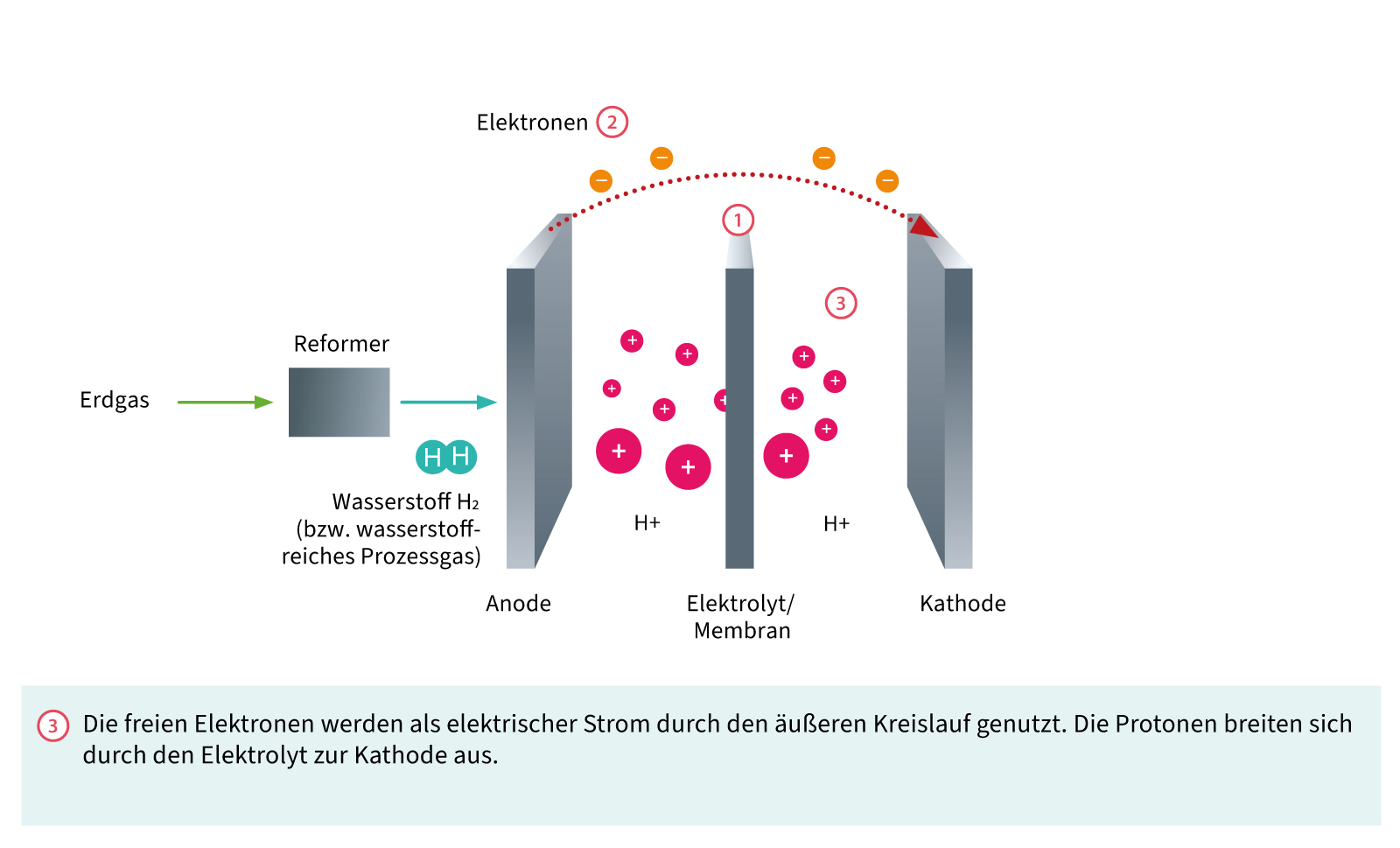 Aufbau einer Brennstoffzelle: Die Protonen breiten sich aus