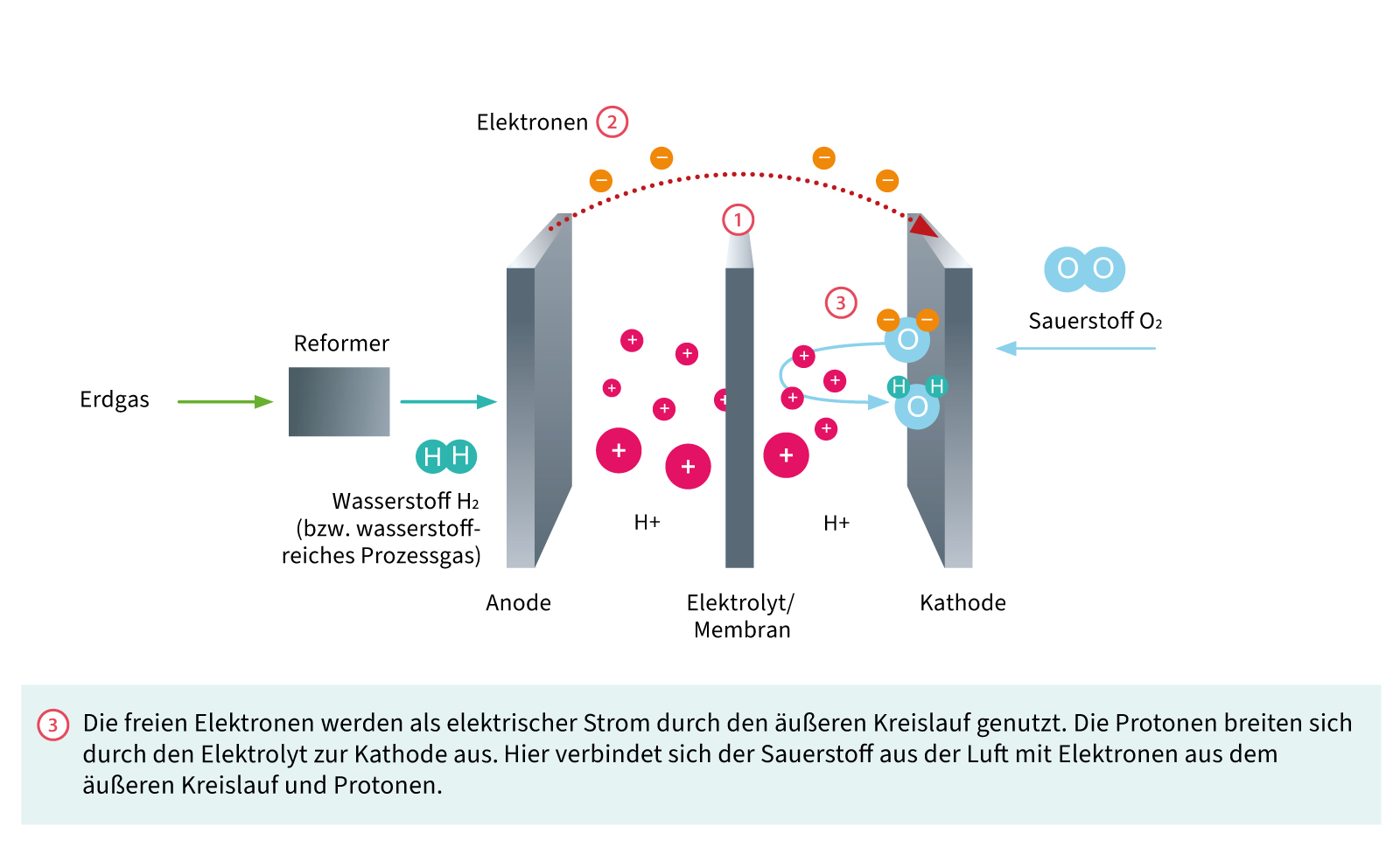 Aufbau einer Brennstoffzelle: Sauerstoff verbindet sich mit den Elektronen