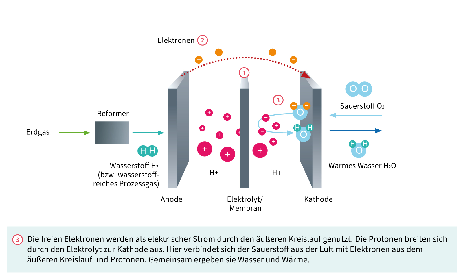 Aufbau einer Brennstoffzelle: Wasser und Wärme
