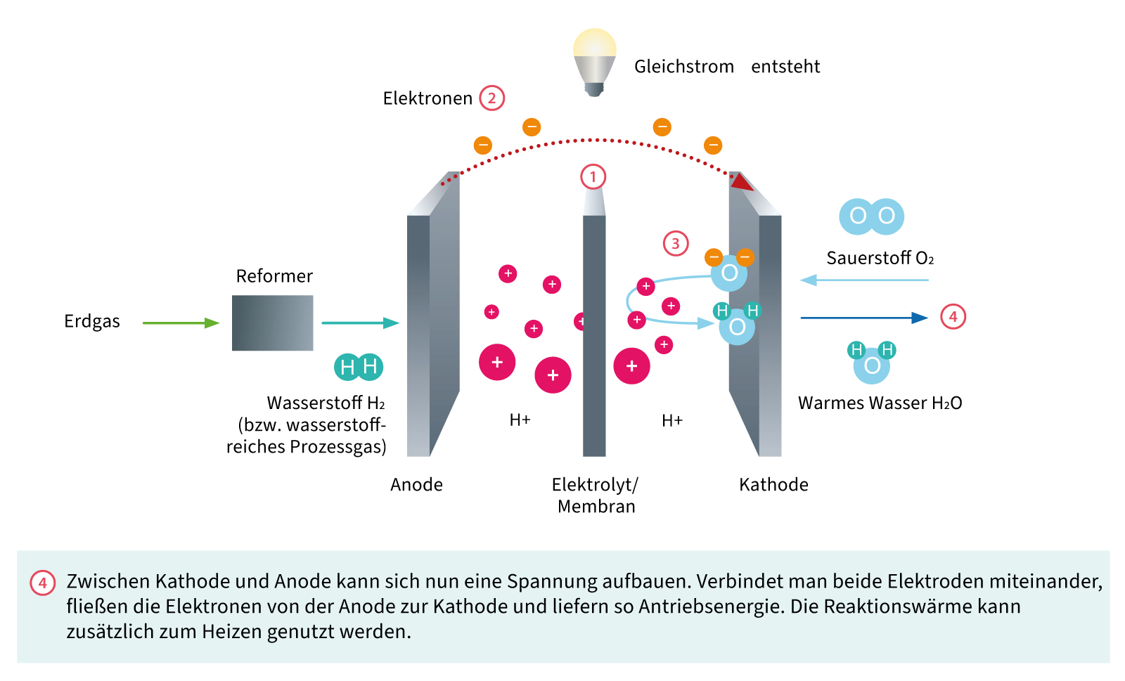 Aufbau einer Brennstoffzelle: Gleichstrom entsteht